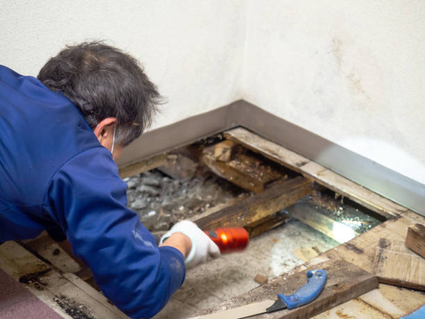 Best Crawl Space Mold Removal  in Franklin Center, NJ