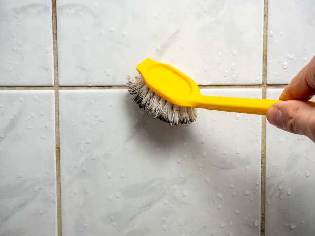 Best Mold Testing  in Franklin Center, NJ