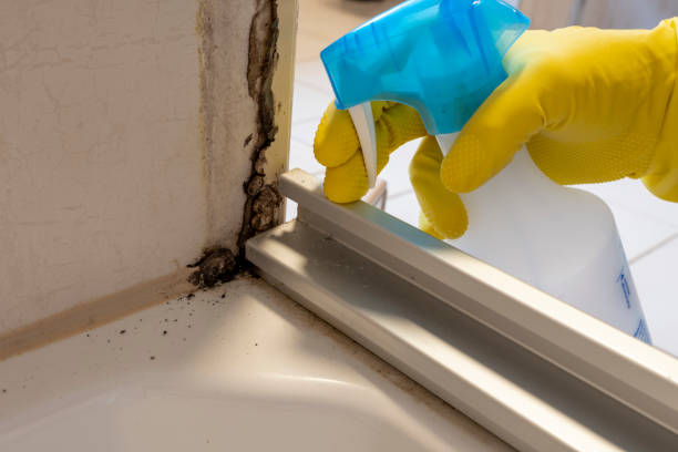 Crawl Space Mold Removal in Franklin Center, NJ