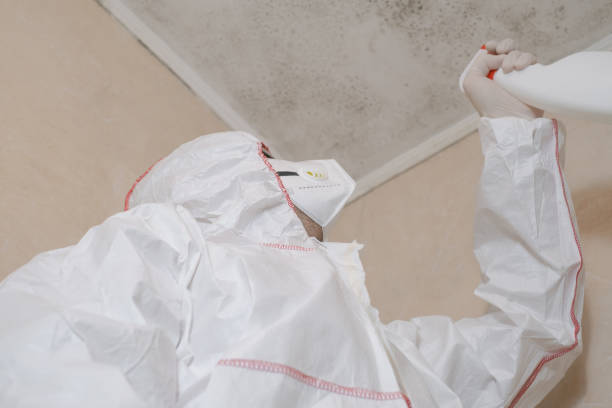 Best Fast Mold Removal  in Franklin Center, NJ